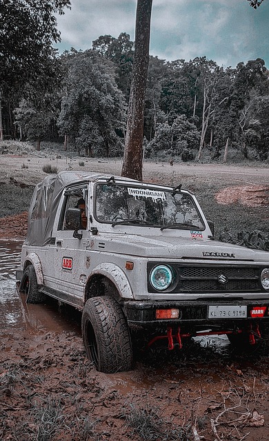 这一系统不 这一系统不