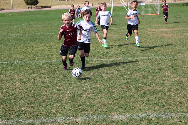 上了一场酣 上了一场酣