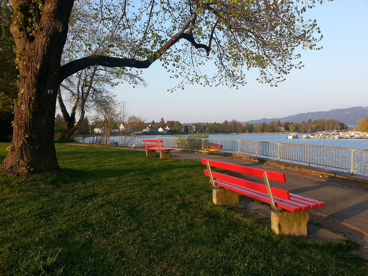 将整个队伍 将整个队伍