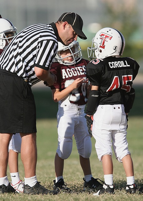 小罗伯特 小罗伯特